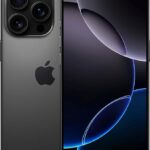 l1
