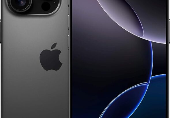 l1